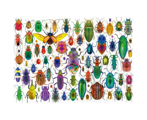 EDUCA - Puzzle 500 Escarabajos 20252 – Adultos – stockin.pt