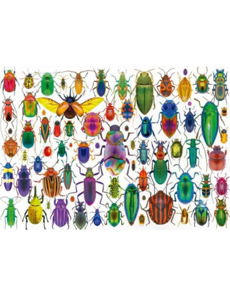 EDUCA - Puzzle 500 Escarabajos 20252 – Adultos – stockin.pt