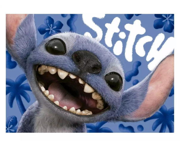 EDUCA - Puzzle 1000 Lilo & Stitch 20277 – Adultos – stockin.pt