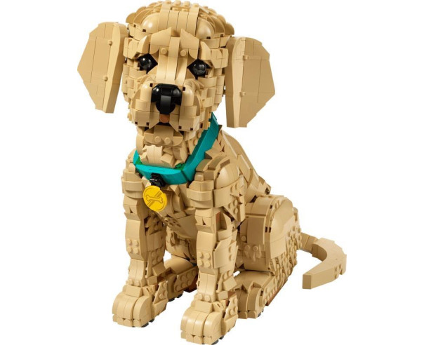 LEGO - Cachorrinho Golden Retriever 11384 – Icons – stockin.pt