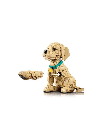 LEGO - Cachorrinho Golden Retriever 11384 – Icons – stockin.pt