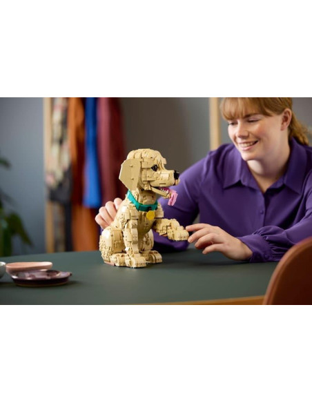 LEGO - Cachorrinho Golden Retriever 11384 – Icons – stockin.pt