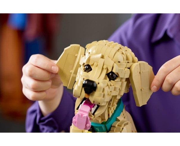 LEGO - Cachorrinho Golden Retriever 11384 – Icons – stockin.pt