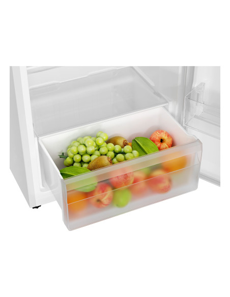 CANDY - Frigorífico 2 Portas CNDQ2S514EW – Frigorífico 2 Portas – stockin.pt