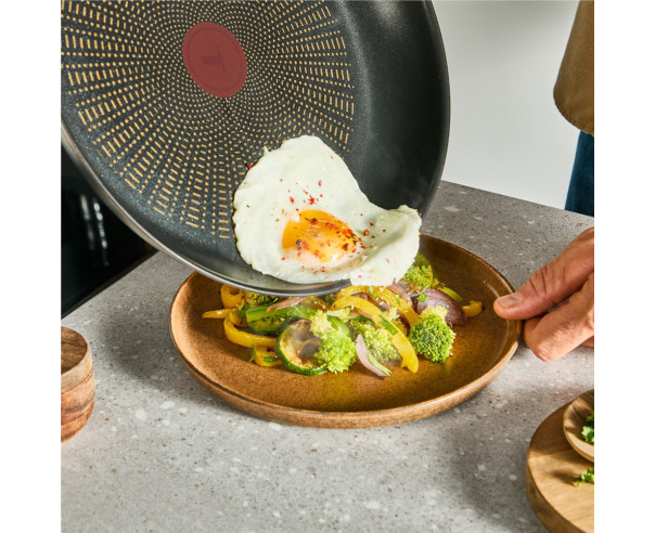 TEFAL - Frigideira Emotion Indução 24cm E3270444 – Frigideiras e Grelhadores – stockin.pt