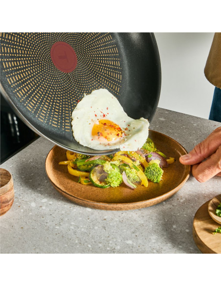 TEFAL - Frigideira Emotion Indução 24cm E3270444 – Frigideiras e Grelhadores – stockin.pt