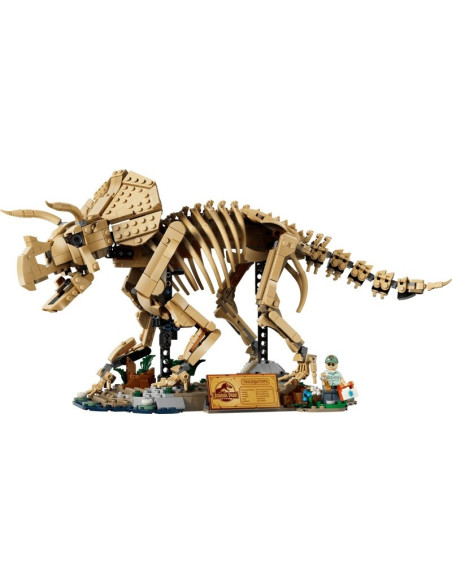 LEGO - Fósseis de Dinossauros Triceratops 77985 – Jurassic World – stockin.pt