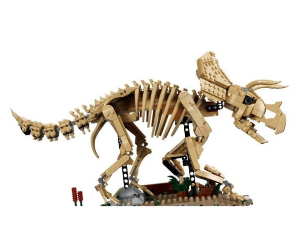 LEGO - Fósseis de Dinossauros Triceratops 77985 – Jurassic World – stockin.pt